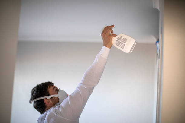 Best Mold Testing  in Middleport, OH